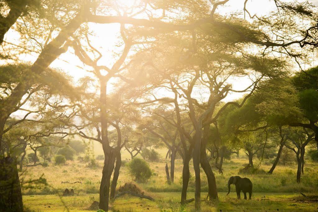 Sanctuary Swala Babati Ngoại thất bức ảnh