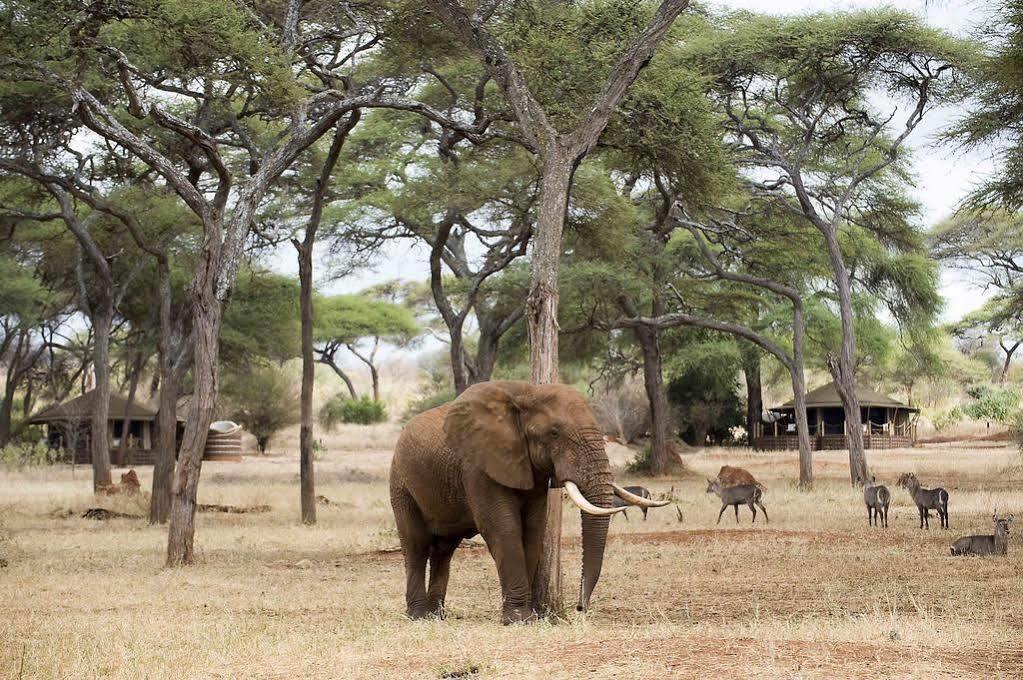 Sanctuary Swala Babati Ngoại thất bức ảnh